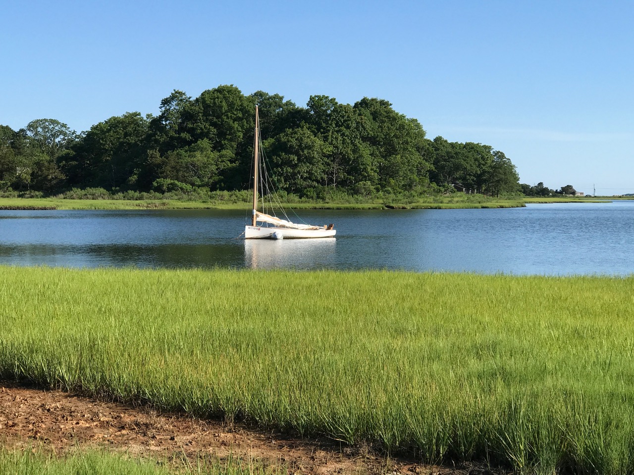 Low Nitrogen Septic Awareness for Hog Creek – Watch Zoom Meeting